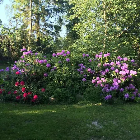 By Veddinge In Charming 70s Style *